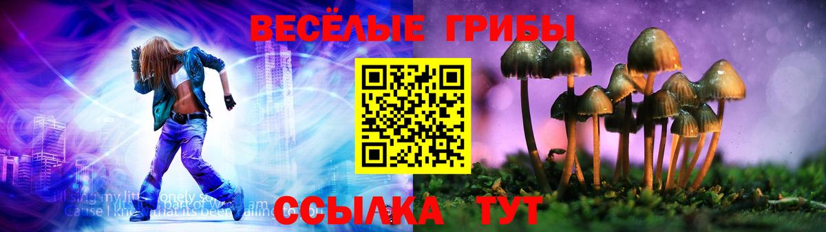 Псилоцибиновые грибы Psilocybine cubensis  что такое наркотик  Пушкино  Вход с VPN  Галлюциногенные грибы ЛСД 